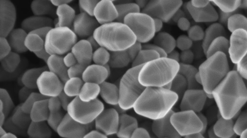 NICol electron column on the Scios 3 FIB-SEM enables high-resolution imaging.